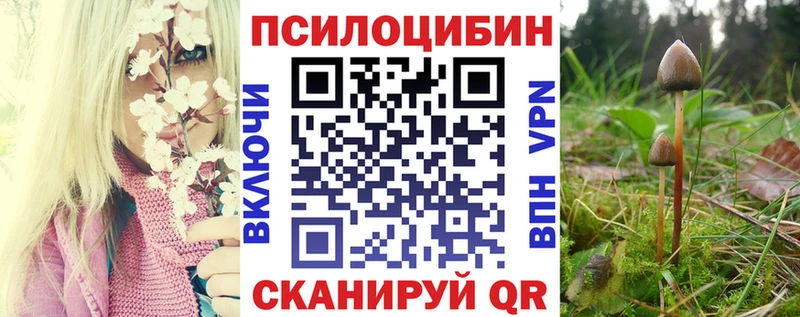 Псилоцибиновые грибы мухоморы  как найти наркотики  Разумное 